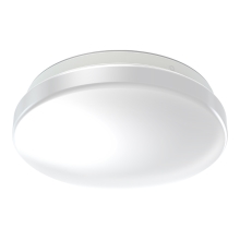 LEDVANCE CEILING ROUND 210 SEN 12W 865 IP44