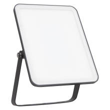 LEDVANCE ESSENTIAL 30W 840 PLUG BK          LEDV