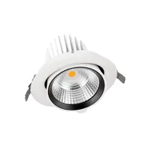 LEDVANCE LED downlight SPOT VARIO 35W 3550lm/840/24° IP20 50Y ;pr.180mm bi