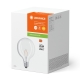 LEDVANCE LED globe filament 1906 G125 2.5W/25W E27 2700K 250lm NonDim 15Y čirá