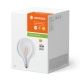 LEDVANCE LED globe filament 1906 G125 4W/40W E27 2700K 470lm NonDim 15Y čirá