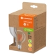 LEDVANCE LED globe filament UE G95 4W/60W E27 3000K 840lm NonDim 50Y