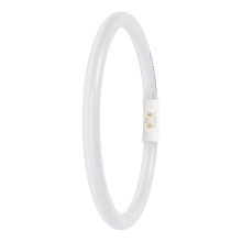 LEDVANCE LED kruhová zářivka.kruhová T5 FC22 EXT 11.6W/22W 2GX13 1700lm/840 50Y