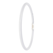 LEDVANCE LED kruhová zářivka T5 FC40/55 EXT 21.5W/40W 2GX13 2900lm/830 50Y
