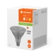 LEDVANCE LED reflektor PFM PAR38 13.5W/120W E27 2700K 1035lm/15° NonDim 25Y sklo