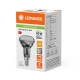LEDVANCE LED reflektor PFM R50 5.9W/60W E14 2700K 350lm/36° Dim 25Y sklo