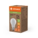 LEDVANCE LED žárovka filament A60 5.7W/75W E27 2700K 1055lm Dim 50Y opál