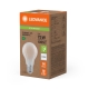 LEDVANCE LED žárovka filament SUP UE A60 5W/75W E27 4000K 1055lm NonDim 50Y čirá