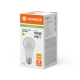 LEDVANCE LED žárovka PFM A60 13W/100W E27 2700K 1521lm NonDim 15Y opál