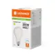 LEDVANCE LED žárovka PFM A95 24W/200W E27 4000K 3452lm NonDim 15Y opál