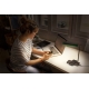 LEDVANCE OFFICE LINE DESK ROOF 19WCCT D ICBKLEDV
