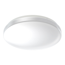 LEDVANCE OUTDOOR ESSENTIAL 325 24W 830      LEDV
