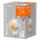 LEDVANCE SMART+ fil.globe G125 8W/50W E27 27-6500K 650lm Dim 15Y zlatá WIFI