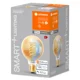 LEDVANCE SMART+ fil.globe G80 8W/50W E27 27-6500K 650lm Dim 15Y zlatá WIFI