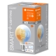 LEDVANCE SMART+ fil.globe G80 8W/60W E27 27-6500K 806lm Dim 15Y čirá WIFI