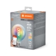 LEDVANCE SMART+ fil.globe G95 4.8W/40W E27 27-6500K 470lm Dim 15Y čirá WIFI