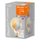 LEDVANCE SMART+ fil.globe G95 8W/50W E27 22-5000K 650lm Dim 15Y zlatá WIFI