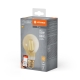 LEDVANCE SMART+ filam.žárovka A60 6W/53W E27 2400K 680lm Dim 15Y zlatá WIFI˙