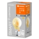 LEDVANCE SMART+ filam.žárovka A60 6W/53W E27 2400K 680lm Dim 15Y zlatá WIFI˙