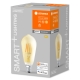 LEDVANCE SMART+ filam.žárovka ST64 6W/53W E27 2400K 680lm Dim 15Y zlatá WIFI˙