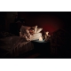 LEDVANCE svít.noční.LED RABBIT.TOUCH 0.5W 20lm/RGBW ;USB
