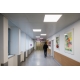 LEDVANCE svít.panel.LED PL.ECO 36W 3600lm/840 IP40/20 50Y ; 60x60 BL U19