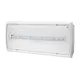 MODUS nouzové svítidlo LED TIGER 1x1W SE/1h. IP22;