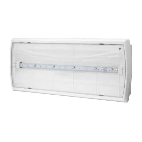 MODUS nouzové svítidlo LED TIGER BASIC 1x1W SE/3h. IP22 přisaz;