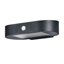 OSRAM ENDURA STYLE SOLAR OVALS WALLSEN830OSRAM