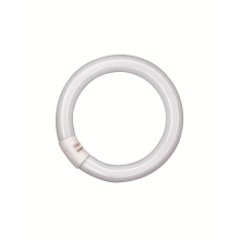 OSRAM kruhová zářivka LUMILUX L22/840 C (21) G10q