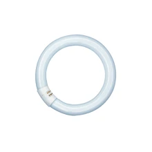 OSRAM kruhová zářivka LUMILUX L22/865 C (21) G10q