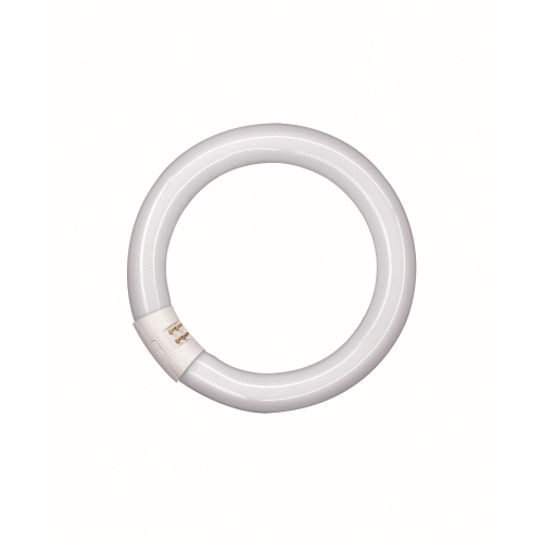 OSRAM kruhová zářivka LUMILUX L32/865 C (21) G10q