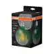 OSRAM LED globe filament 1906 G124 4.5W/20W E27 1600K 200lm Dim 15Y ;zelená
