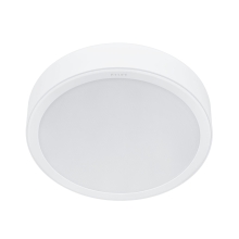 PHILIPS 59474 EU MESON SURFACE D200 23.5W 30K WH