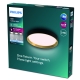 PHILIPS Hanno ceiling SS RD 24W 40K B_G