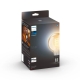 PHILIPS HUE-WA globe G125 7W/NIL 2200-4500K 550lm Dim˙