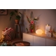 PHILIPS HUE-WA stolní lampička Flourish 1x9.5W ;bílá˙