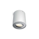 PHILIPS HUE-WA stropní svítidlo Pillar 1x5.5W GU10 IP20 ;bílá +switch˙