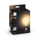 PHILIPS HUE-WA WHITE filam.globe G93 7.2W/NIL E27 2100K 550lm Dim