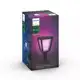 PHILIPS HUE-WCA sloupek Econic 15W 1150lm/RGBW IP44 ;černá˙