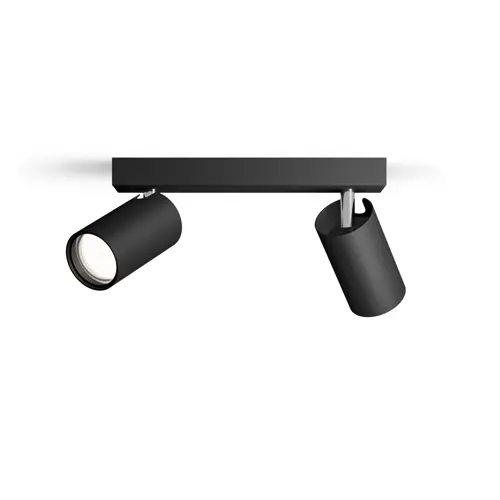 PHILIPS Idris spotové svítidlo 2x5W BL IP44 HV