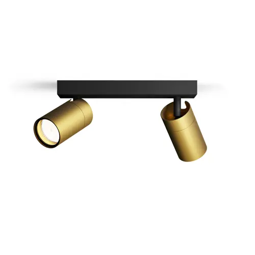 PHILIPS Idris spotové svítidlo 2x5W BS IP44 HV