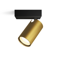 PHILIPS Idris spotové svítidlo 5W BS IP44 HV