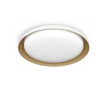 PHILIPS Pebblo UE Ceiling SS W 10W 40K