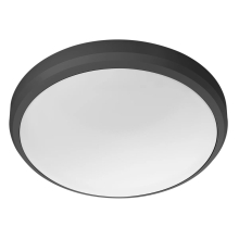 PHILIPS stropní svítidlo Doris 6W 640lm/840 IP54 25Y ;černá