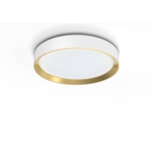 PHILIPS stropní svítidlo Hanno ceiling SS RD 24W 40K W_G