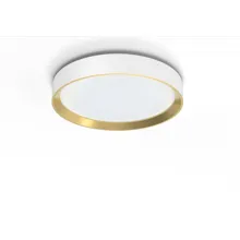 PHILIPS stropní svítidlo Hanno ceiling SS RD 24W 40K W_G