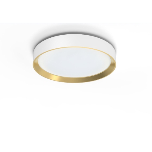 PHILIPS stropní svítidlo Hanno ceiling SS RD 24W 40K W_G