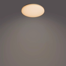 PHILIPS stropní svítidlo Izso CL620 AIO RD 24W 27-40-65K W RC