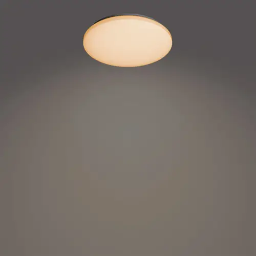 PHILIPS stropní svítidlo Izso CL620 AIO RD 24W 27-40-65K W RC